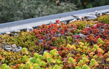 the cost of Roundbush green roof installation